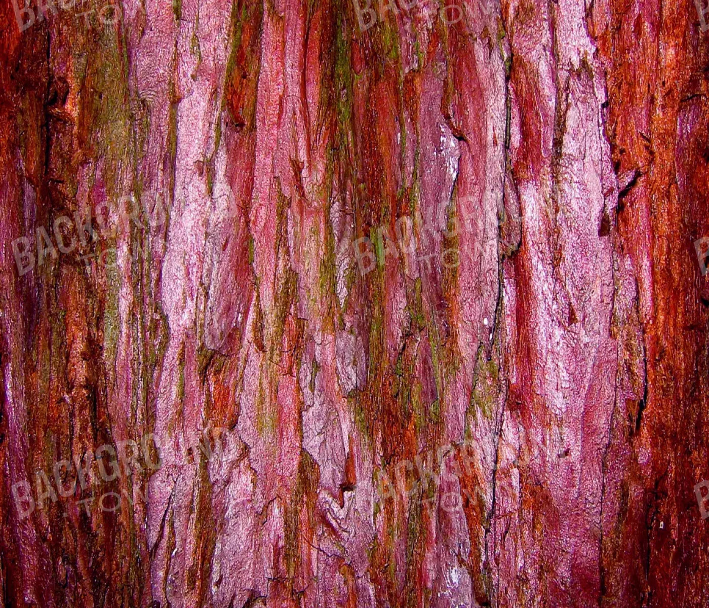 Eve 12X10 Ultracloth ( 144 X 120 Inch ) Backdrop