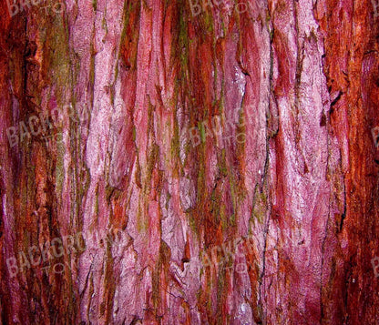 Eve 12X10 Ultracloth ( 144 X 120 Inch ) Backdrop