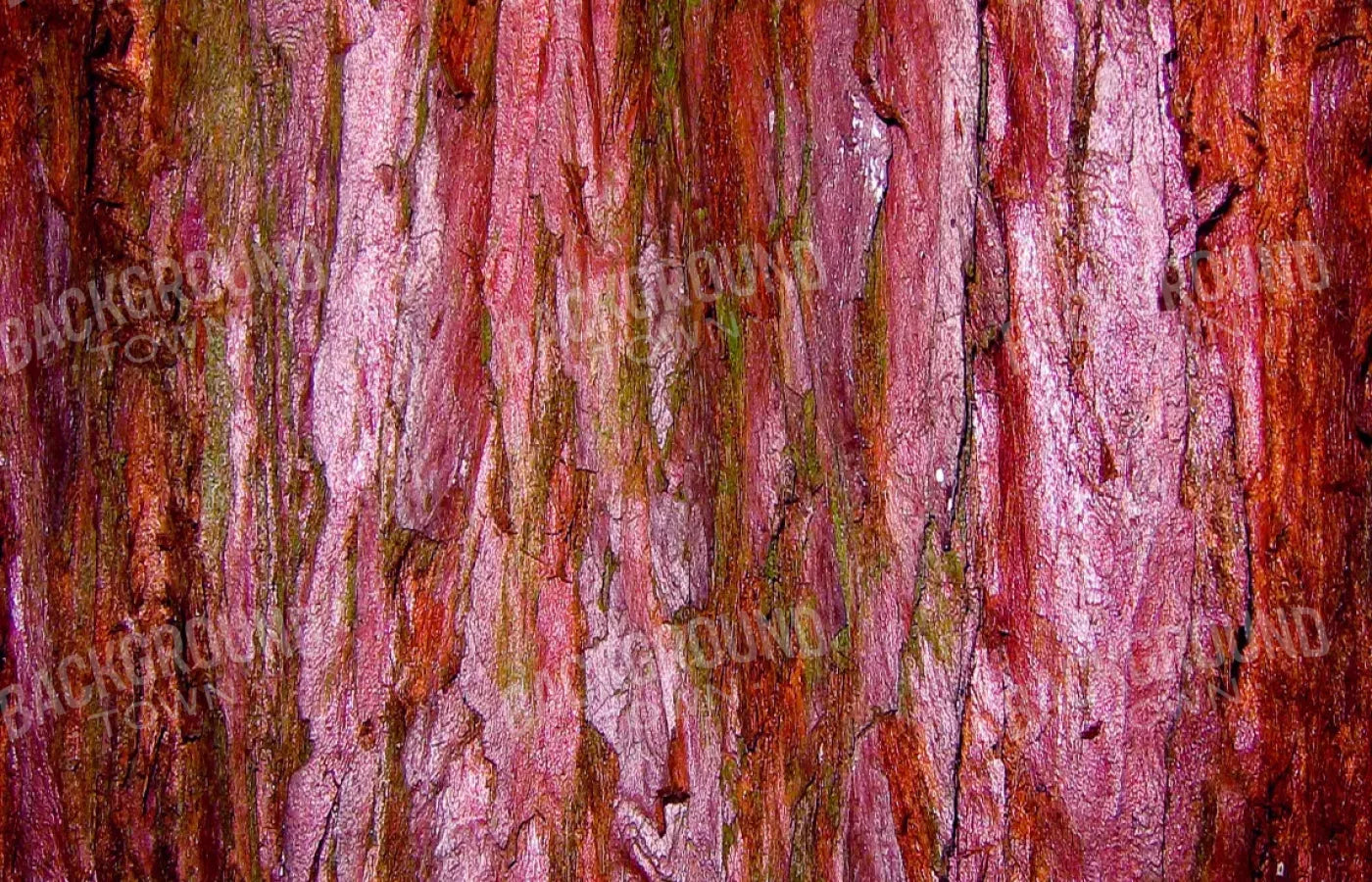 Eve 12X8 Ultracloth ( 144 X 96 Inch ) Backdrop