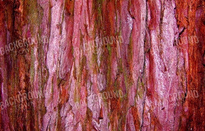 Eve 12X8 Ultracloth ( 144 X 96 Inch ) Backdrop