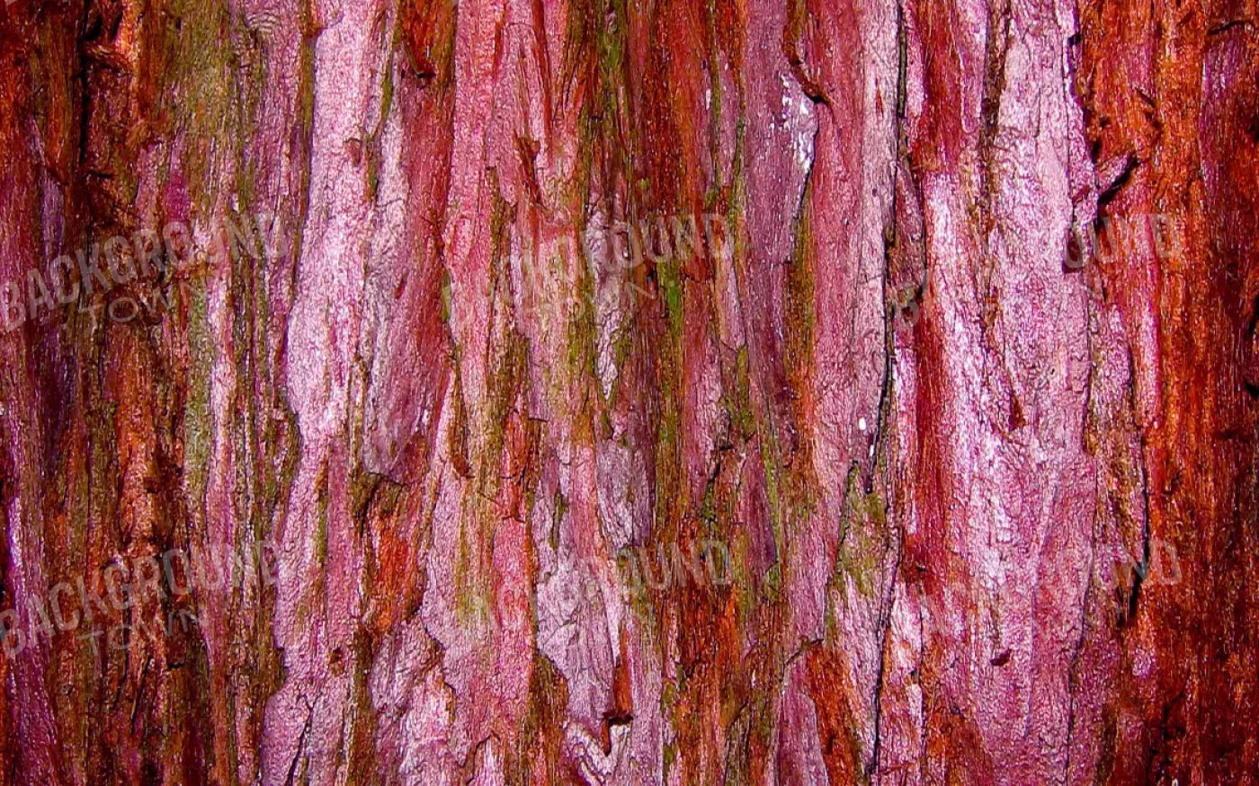 Eve 14X9 Ultracloth ( 168 X 108 Inch ) Backdrop