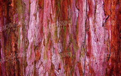 Eve 16X10 Ultracloth ( 192 X 120 Inch ) Backdrop