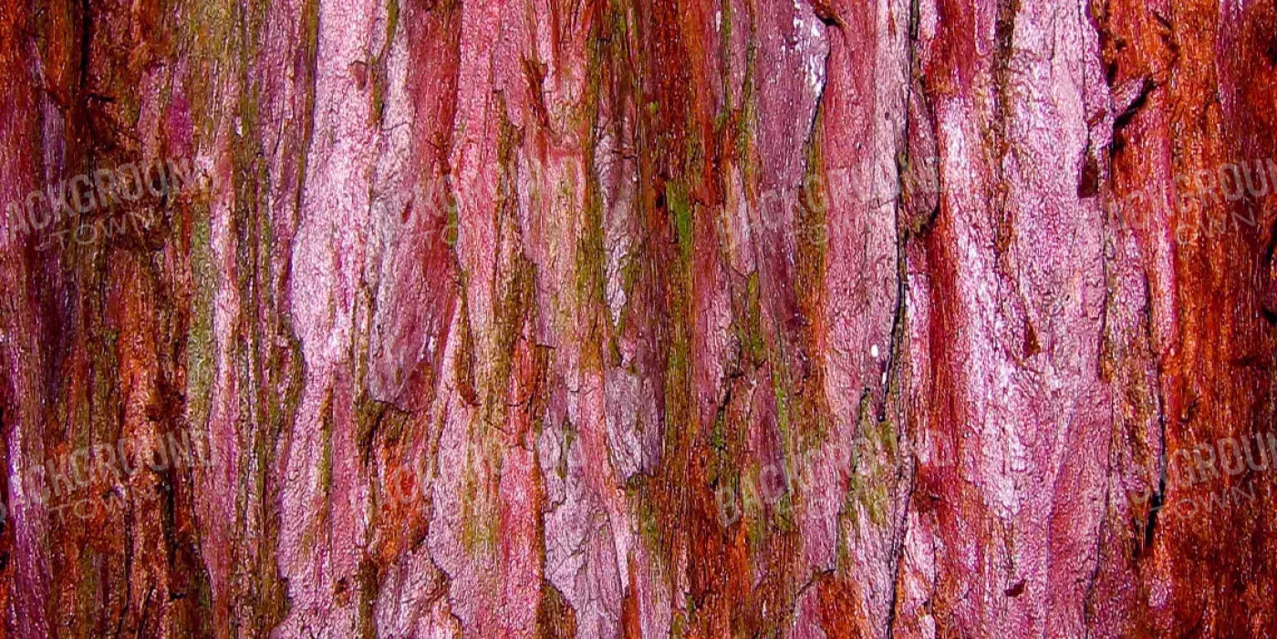 Eve 20X10 Ultracloth ( 240 X 120 Inch ) Backdrop