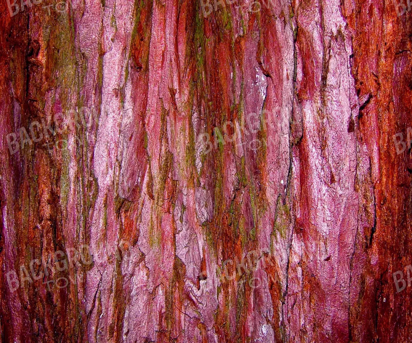 Eve 5X42 Fleece ( 60 X 50 Inch ) Backdrop