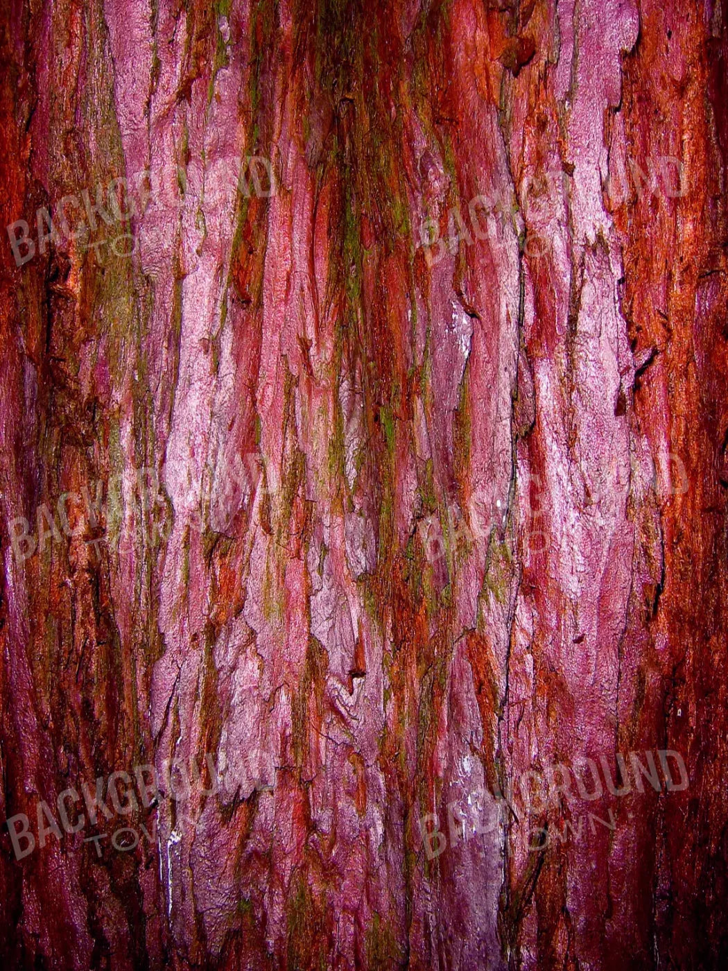 Eve 5X7 Ultracloth ( 60 X 84 Inch ) Backdrop