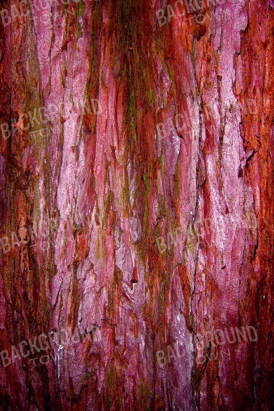 Eve 5X8 Ultracloth ( 60 X 96 Inch ) Backdrop