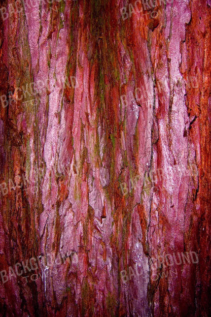 Eve 5X8 Ultracloth ( 60 X 96 Inch ) Backdrop