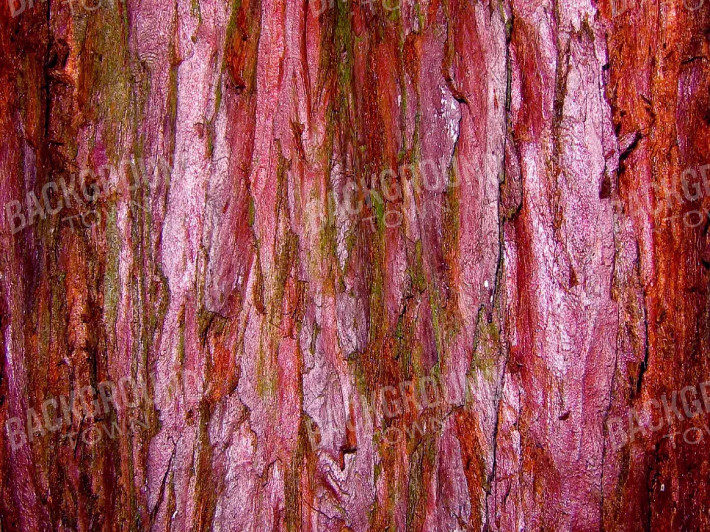 Eve 68X5 Fleece ( 80 X 60 Inch ) Backdrop