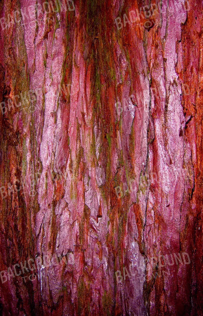 Eve 8X12 Ultracloth ( 96 X 144 Inch ) Backdrop