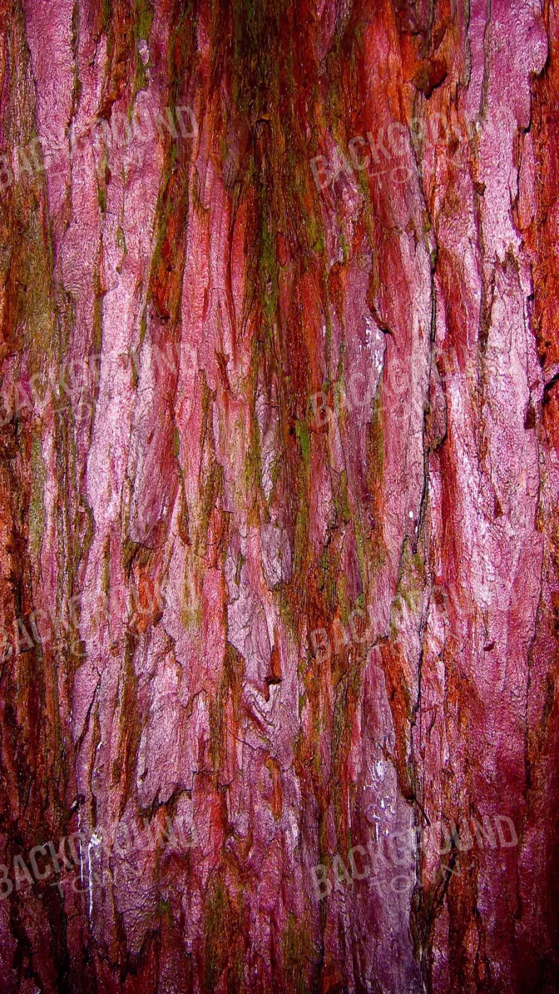 Eve 8X14 Ultracloth ( 96 X 168 Inch ) Backdrop