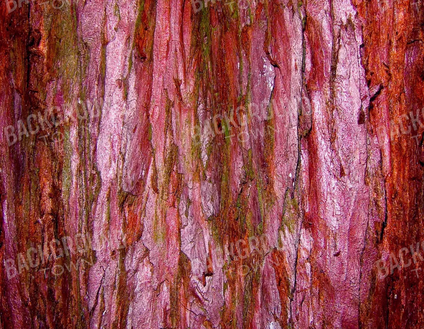 Eve 8X6 Fleece ( 96 X 72 Inch ) Backdrop