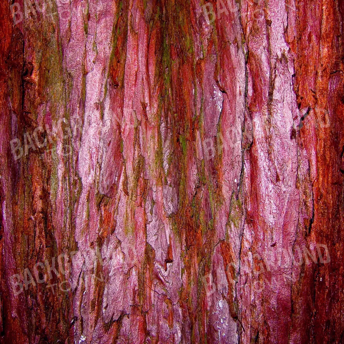 Eve 8X8 Fleece ( 96 X Inch ) Backdrop
