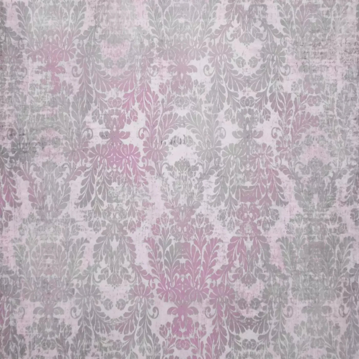 Evelyn Backdrop