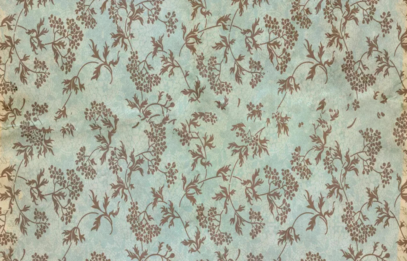 Evonne 12X8 Ultracloth ( 144 X 96 Inch ) Backdrop