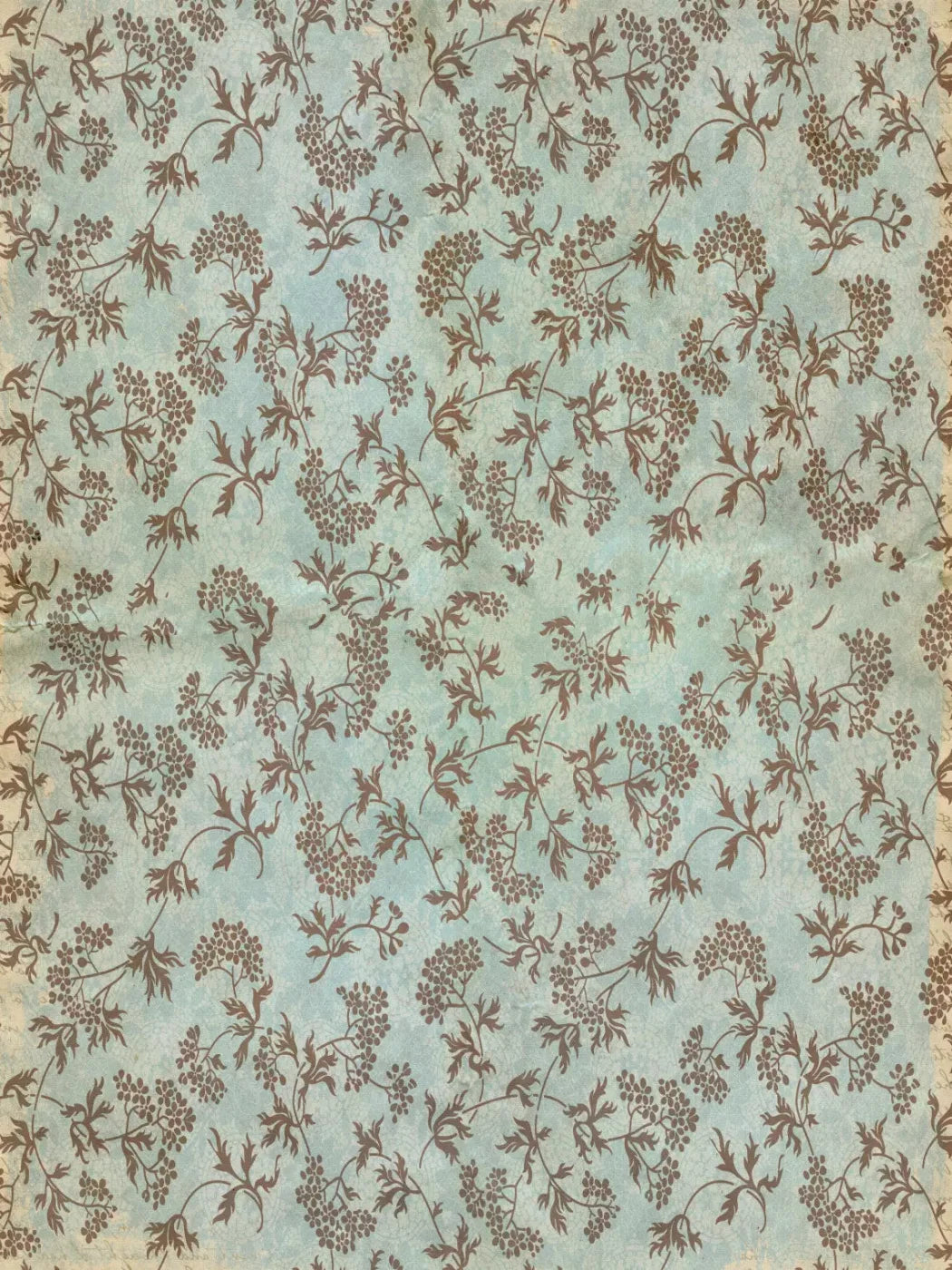 Evonne 5X68 Fleece ( 60 X 80 Inch ) Backdrop
