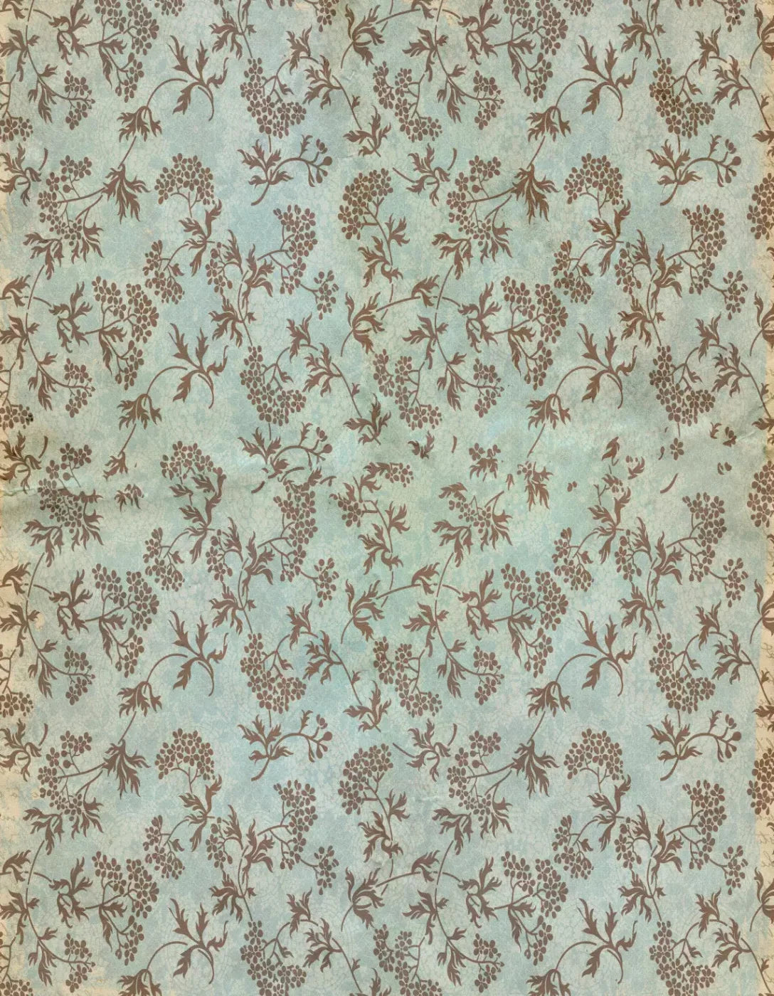 Evonne 6X8 Fleece ( 72 X 96 Inch ) Backdrop
