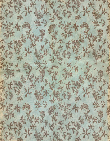 Evonne 6X8 Fleece ( 72 X 96 Inch ) Backdrop