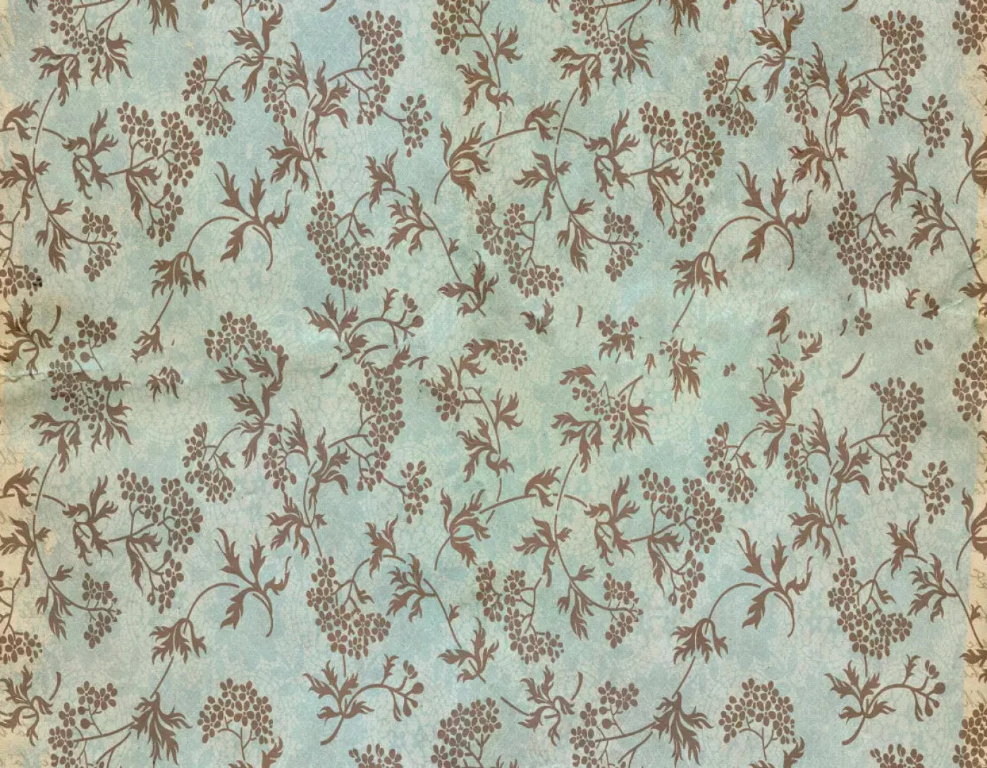 Evonne 8X6 Fleece ( 96 X 72 Inch ) Backdrop