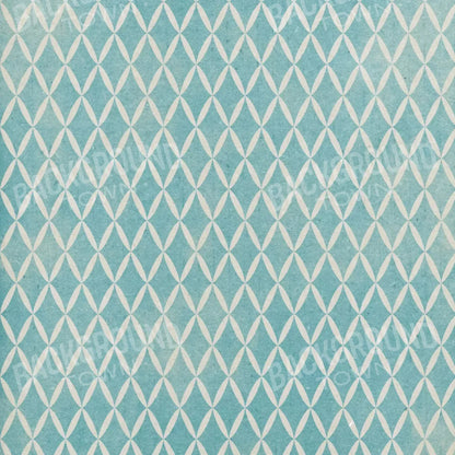 Excess 10X10 Ultracloth ( 120 X Inch ) Backdrop