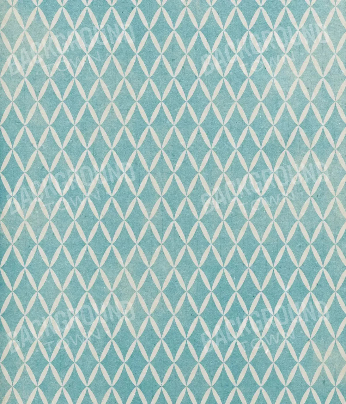 Excess 10X12 Ultracloth ( 120 X 144 Inch ) Backdrop