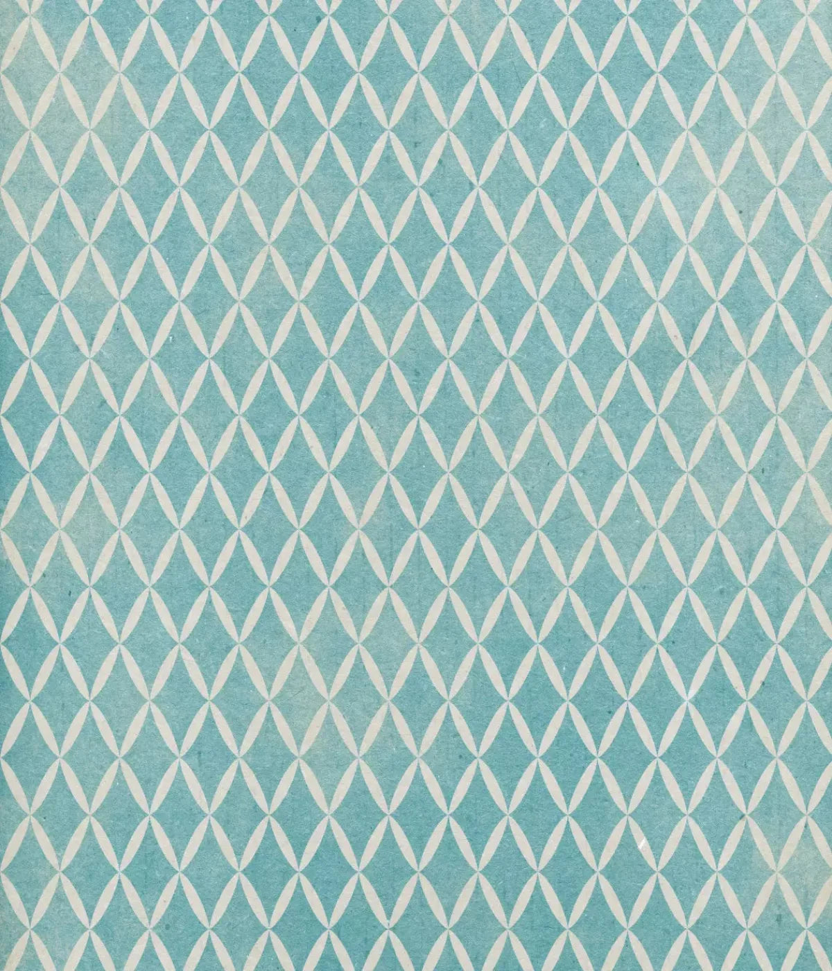 Excess 10X12 Ultracloth ( 120 X 144 Inch ) Backdrop