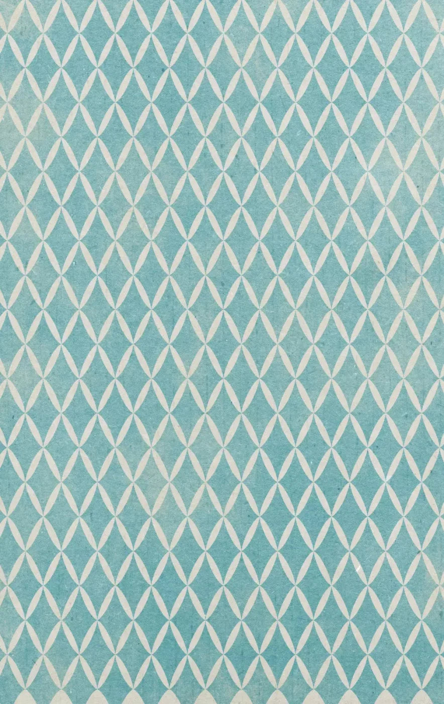 Excess 10X16 Ultracloth ( 120 X 192 Inch ) Backdrop