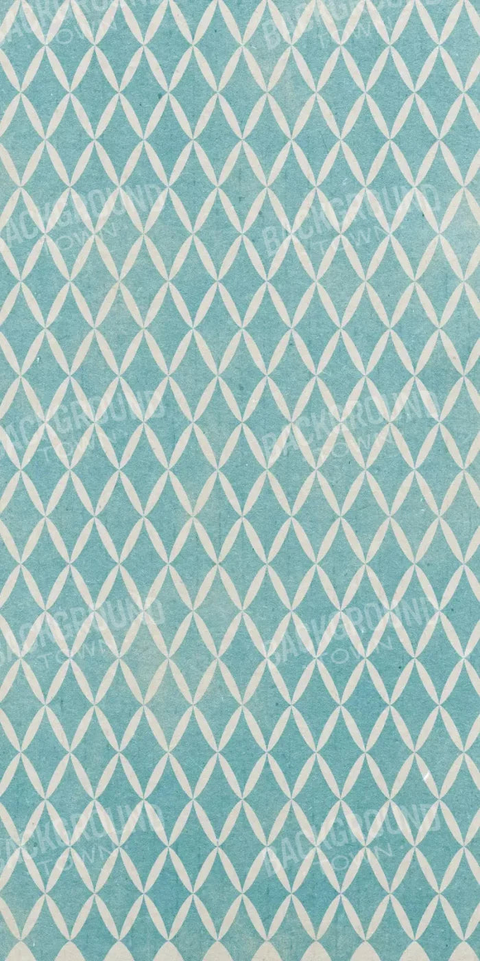 Excess 10X20 Ultracloth ( 120 X 240 Inch ) Backdrop