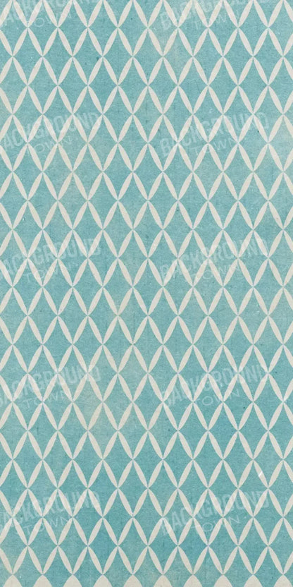 Excess 10X20 Ultracloth ( 120 X 240 Inch ) Backdrop