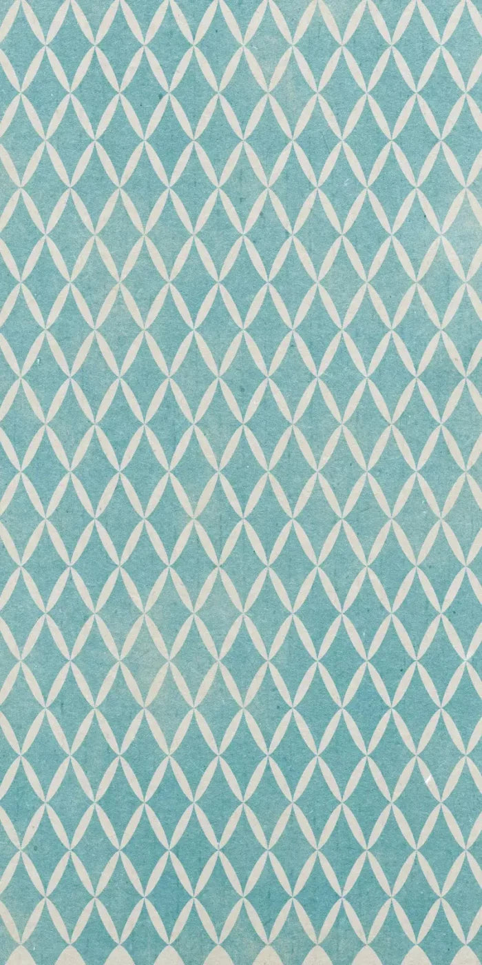 Excess 10X20 Ultracloth ( 120 X 240 Inch ) Backdrop