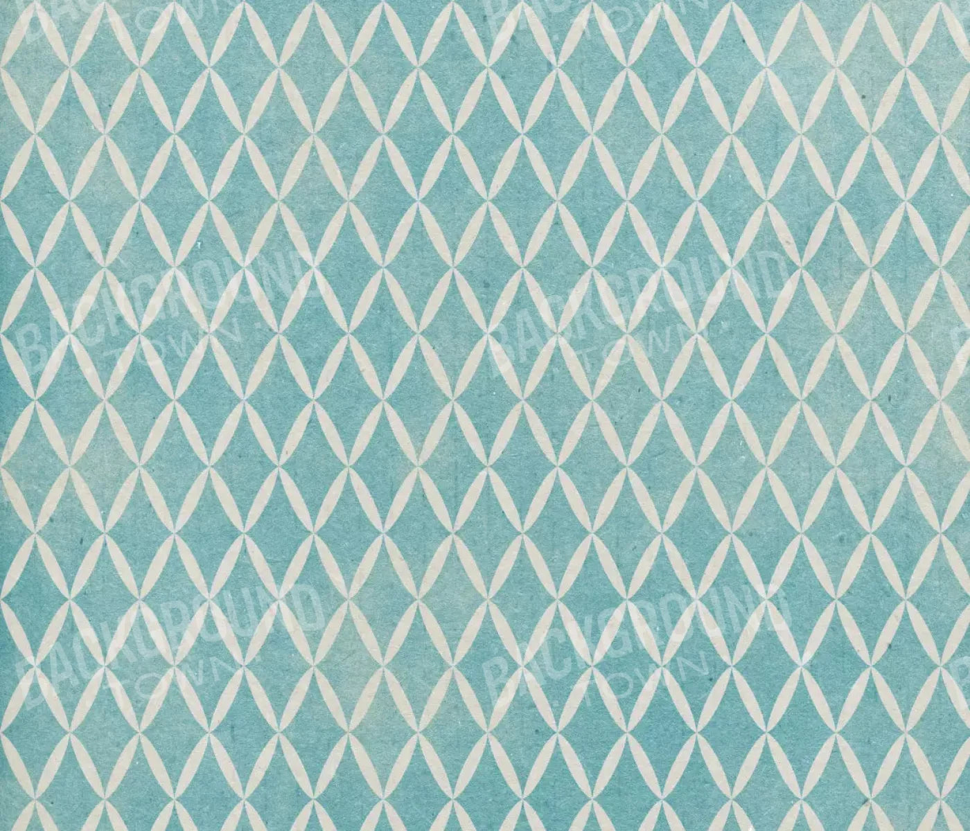 Excess 12X10 Ultracloth ( 144 X 120 Inch ) Backdrop