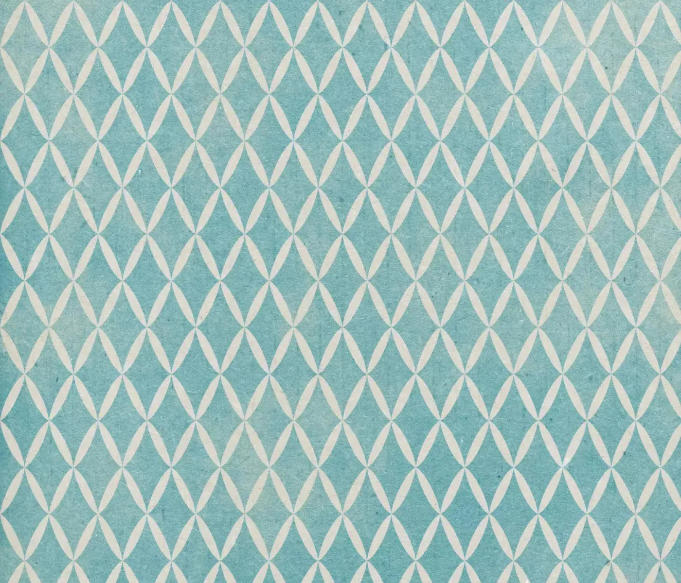 Excess 12X10 Ultracloth ( 144 X 120 Inch ) Backdrop