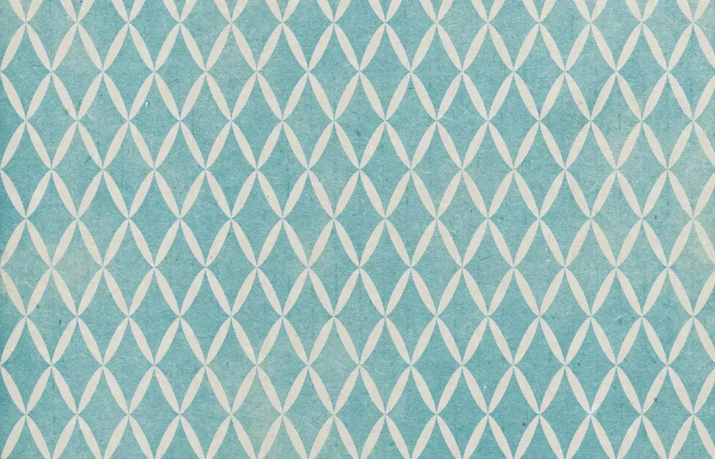 Excess 12X8 Ultracloth ( 144 X 96 Inch ) Backdrop