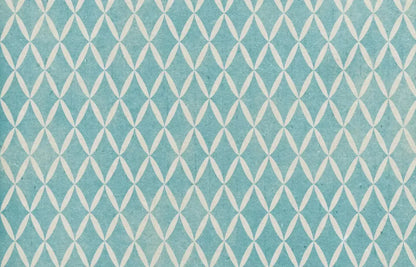 Excess 12X8 Ultracloth ( 144 X 96 Inch ) Backdrop