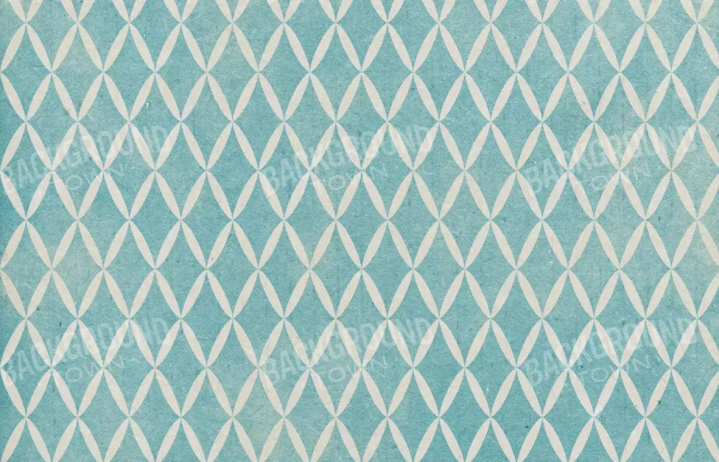 Excess 12X8 Ultracloth ( 144 X 96 Inch ) Backdrop