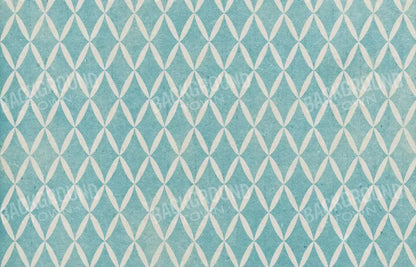 Excess 12X8 Ultracloth ( 144 X 96 Inch ) Backdrop