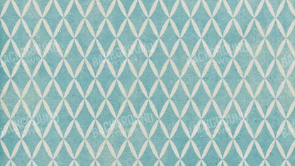 Excess 14X8 Ultracloth ( 168 X 96 Inch ) Backdrop