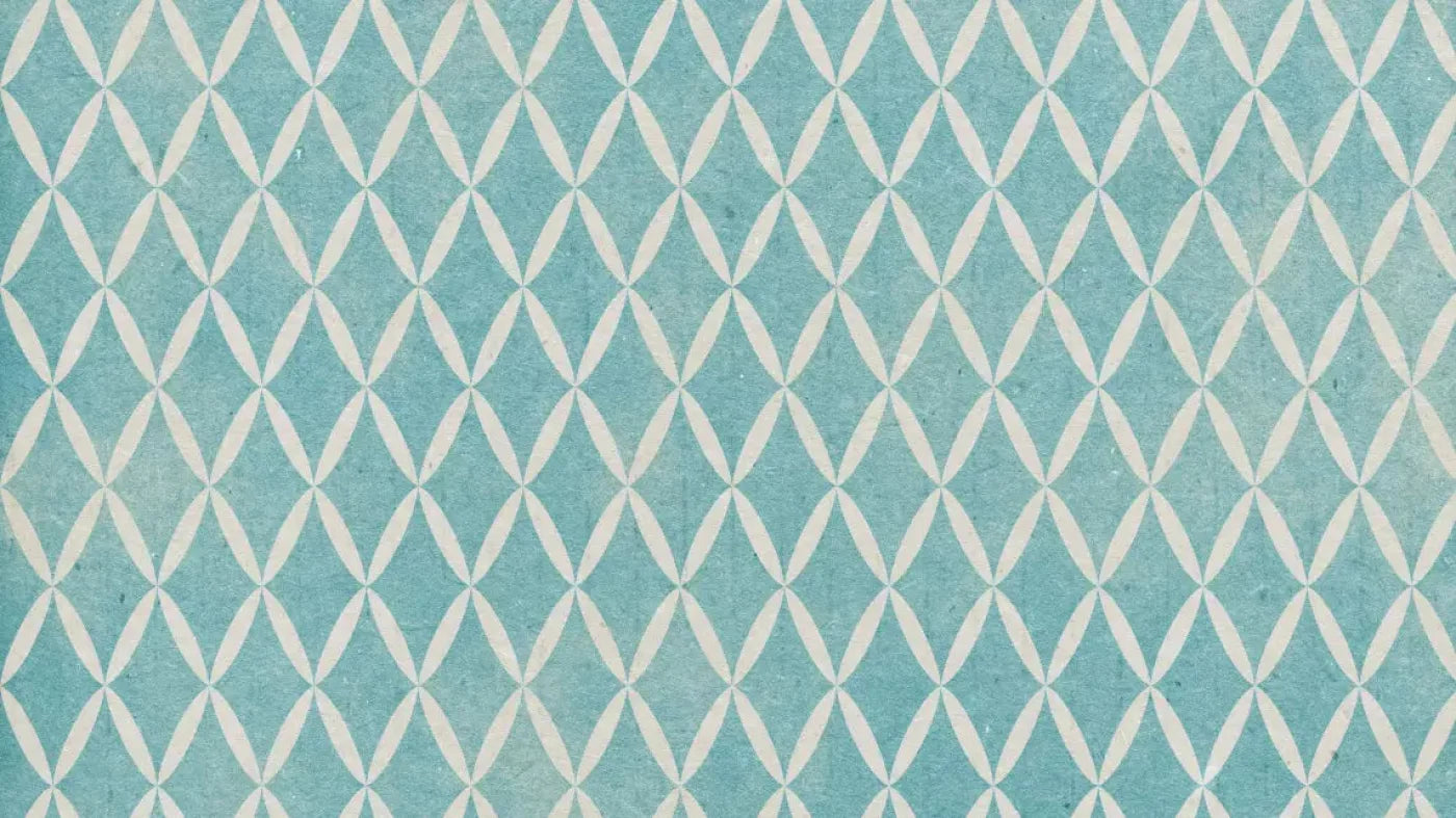 Excess 14X8 Ultracloth ( 168 X 96 Inch ) Backdrop