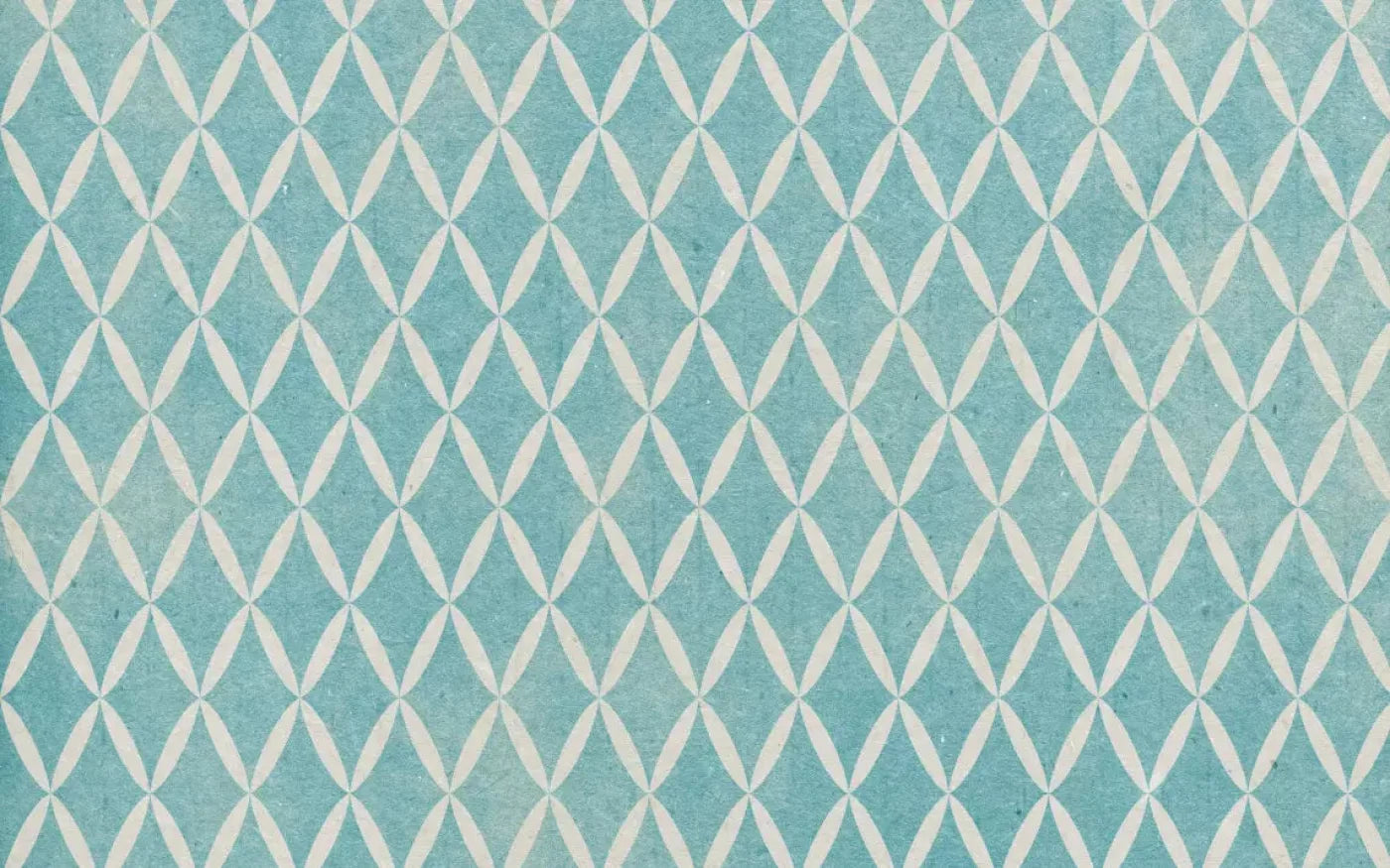 Excess 14X9 Ultracloth ( 168 X 108 Inch ) Backdrop