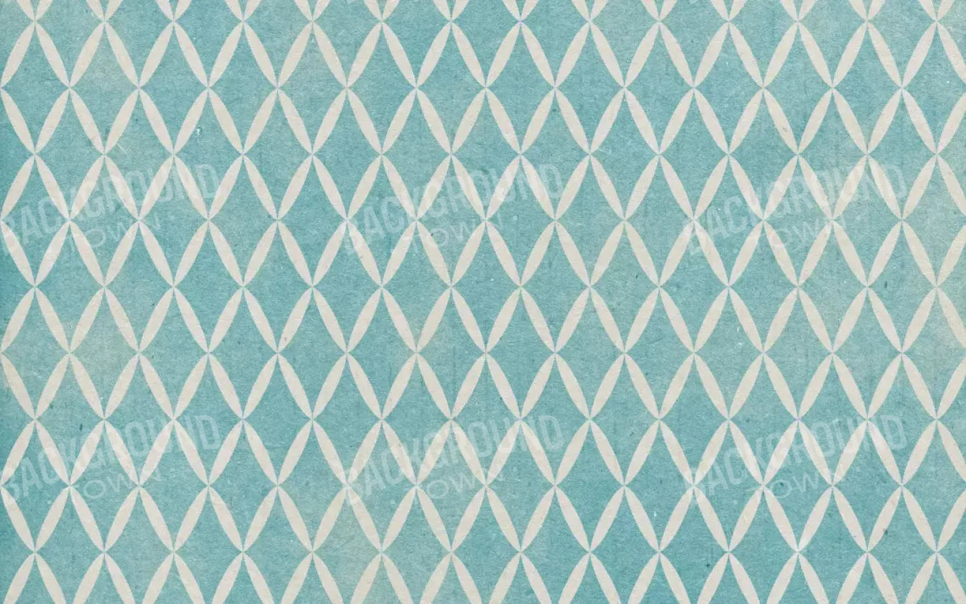 Excess 14X9 Ultracloth ( 168 X 108 Inch ) Backdrop