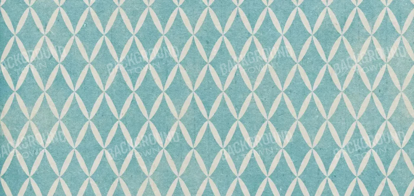 Excess 16X8 Ultracloth ( 192 X 96 Inch ) Backdrop