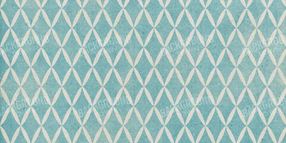 Excess 20X10 Ultracloth ( 240 X 120 Inch ) Backdrop