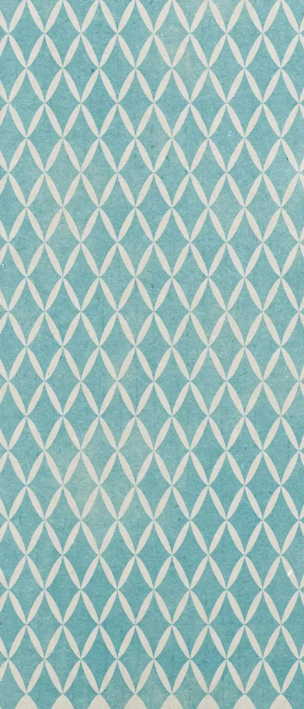 Excess 5X12 Ultracloth For Westcott X-Drop ( 60 X 144 Inch ) Backdrop