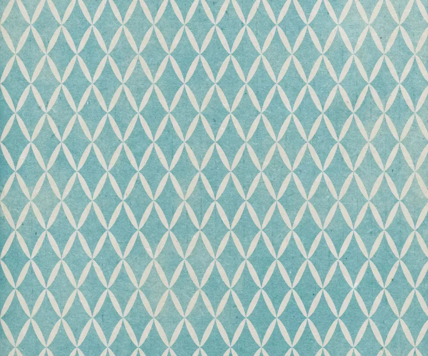 Excess 5X42 Fleece ( 60 X 50 Inch ) Backdrop