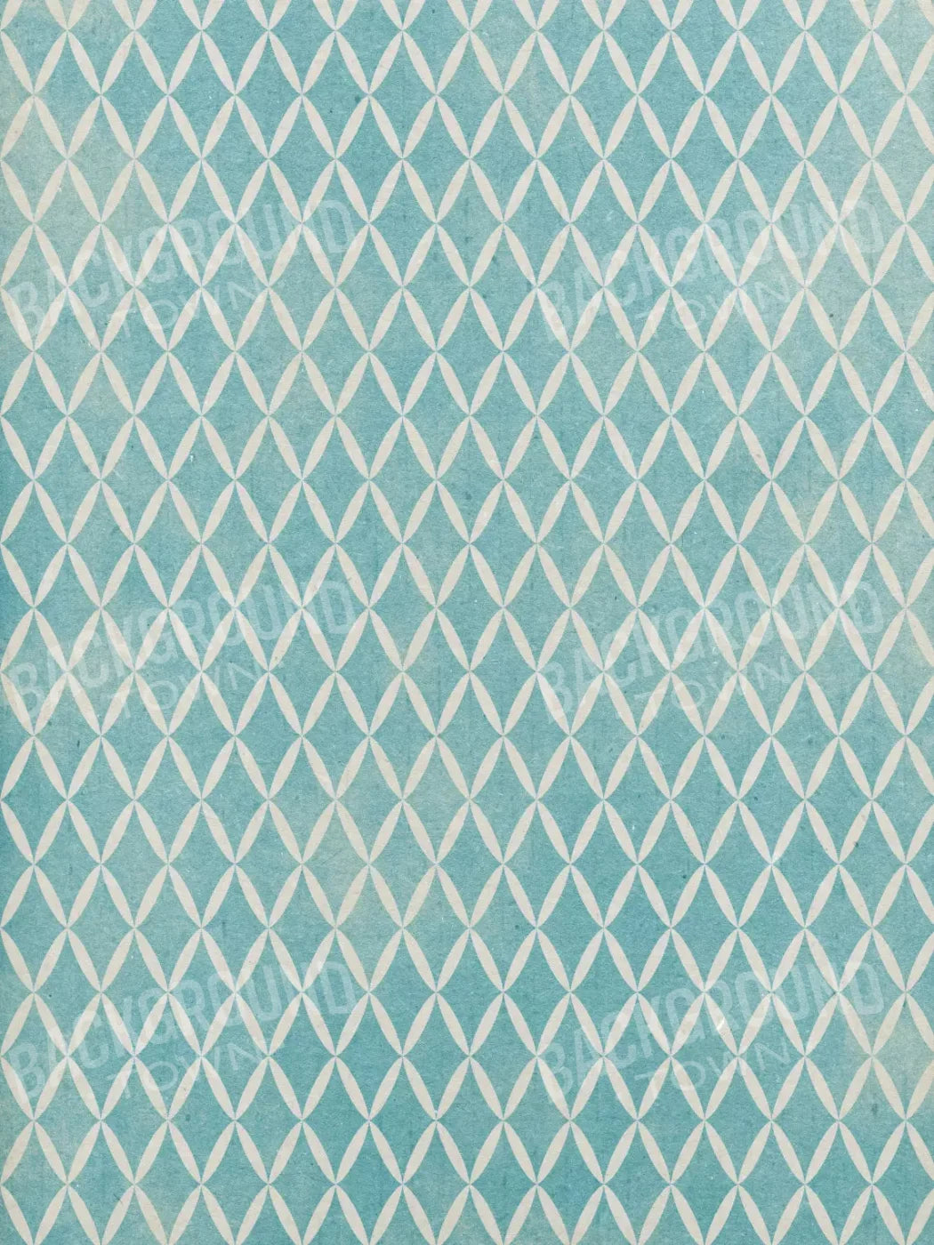 Excess 5X7 Ultracloth ( 60 X 84 Inch ) Backdrop
