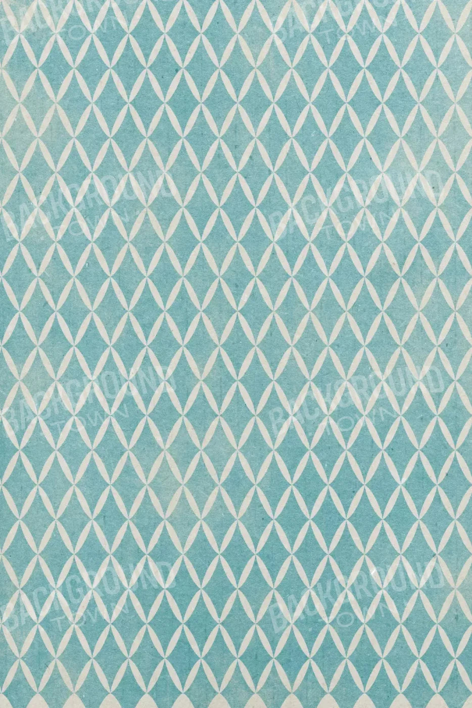 Excess 5X8 Ultracloth ( 60 X 96 Inch ) Backdrop