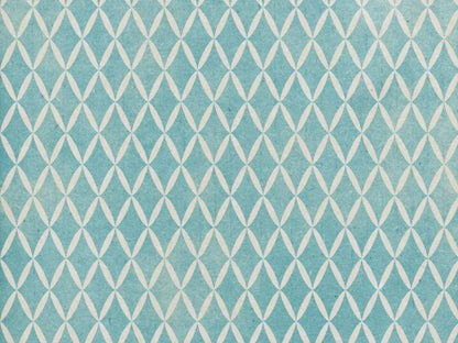 Excess 68X5 Fleece ( 80 X 60 Inch ) Backdrop