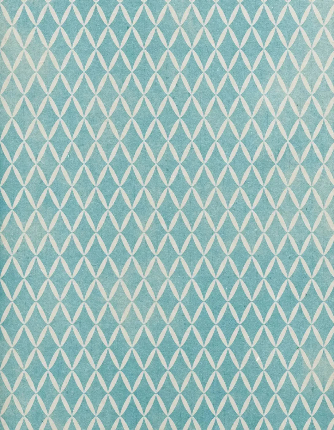 Excess 6X8 Fleece ( 72 X 96 Inch ) Backdrop