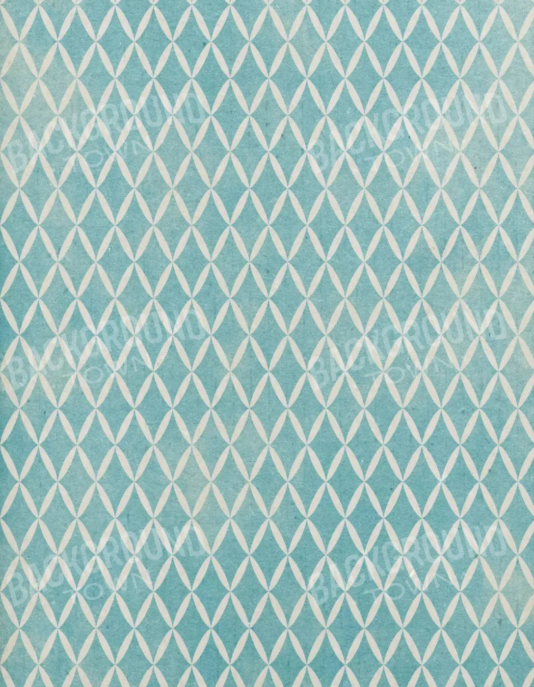 Excess 6X8 Fleece ( 72 X 96 Inch ) Backdrop