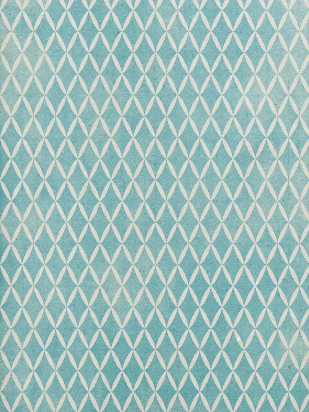 Excess 8X10 Fleece ( 96 X 120 Inch ) Backdrop