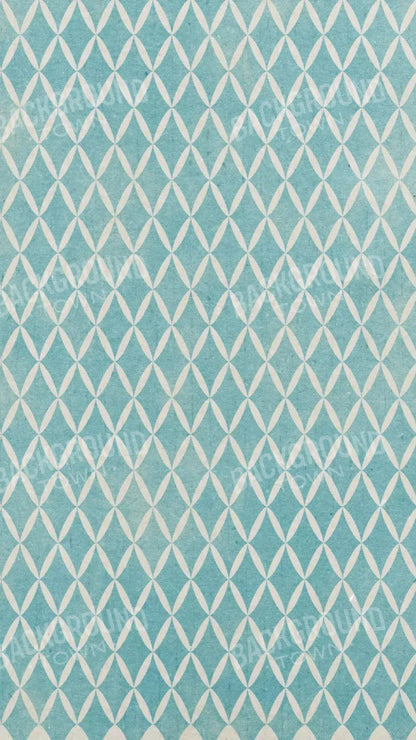 Excess 8X14 Ultracloth ( 96 X 168 Inch ) Backdrop